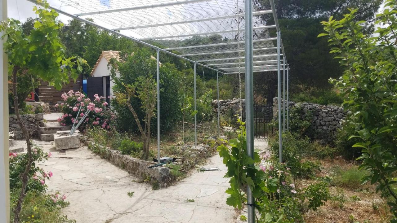 Dorinda Apartment Agia Marina  Luaran gambar